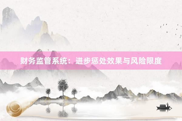财务监管系统:进步惩处效果与风险限度
